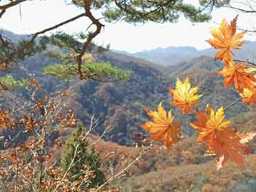 世界登山纪录挑战安全预评：专家组给出优化建议，世界登山圣地